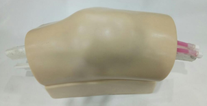Knee Arthrocentesis Ultrasound Training Model 