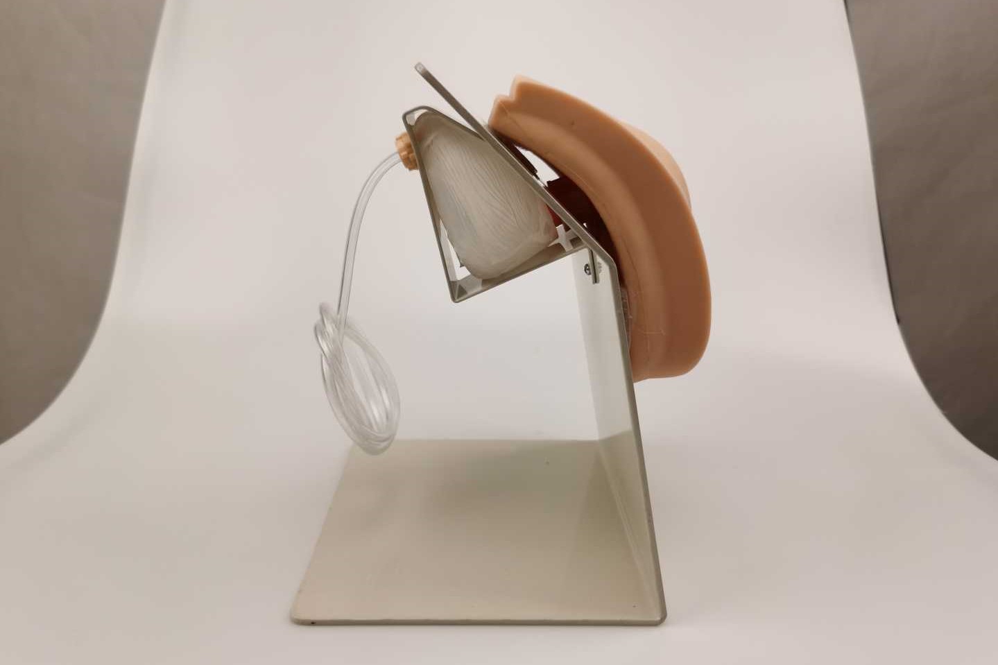 Advanced Wearable Female Catheterization Model