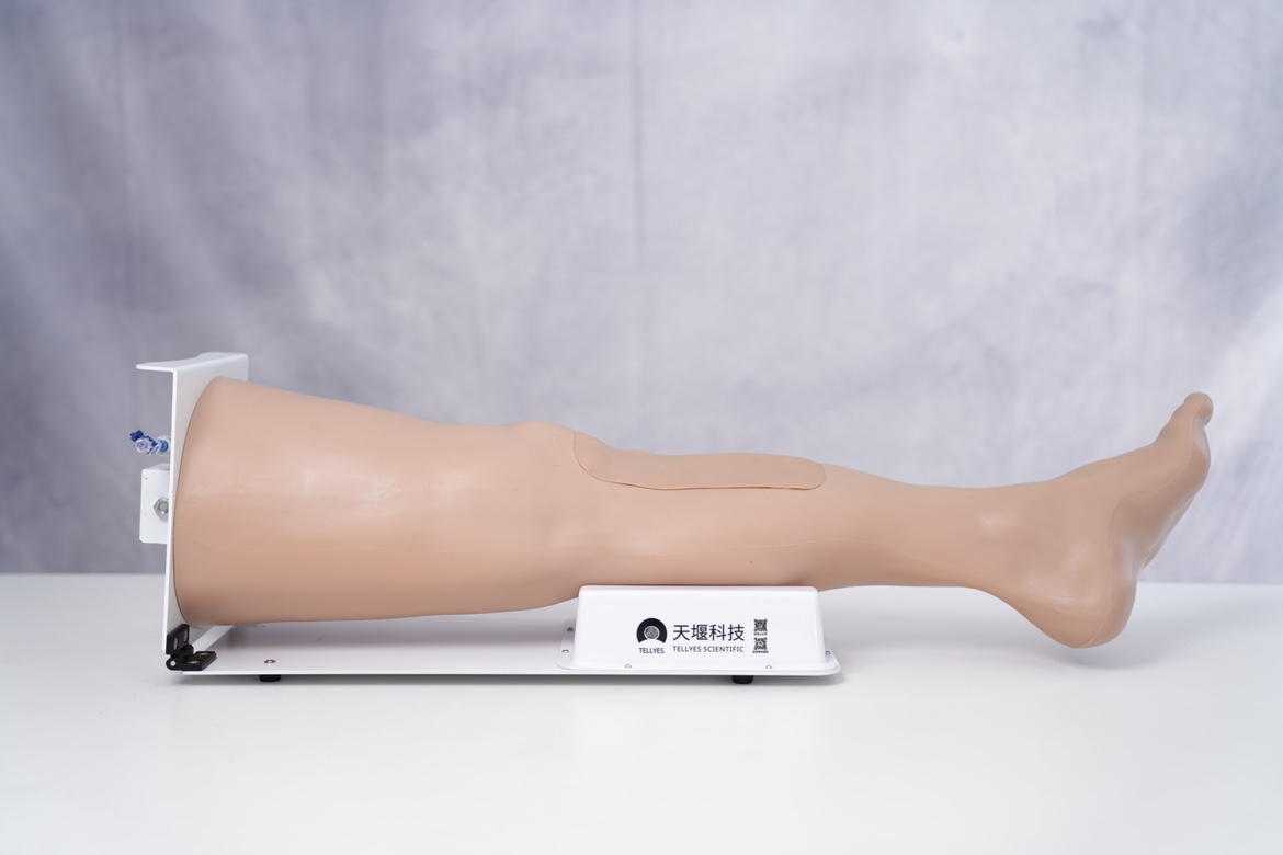 Adult Tibial Puncture Leg (with Stand)